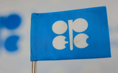 OPEC+ members to delay oil production increases